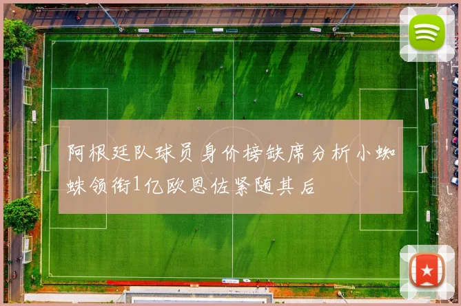 阿根廷队球员身价榜缺席分析小蜘蛛领衔1亿欧恩佐紧随其后