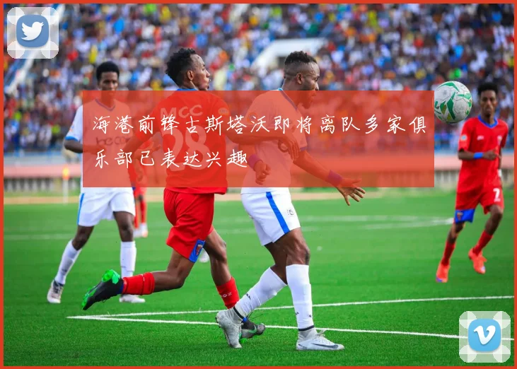 海港前锋古斯塔沃即将离队多家俱乐部已表达兴趣