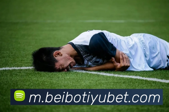 贝博体育平台生态图